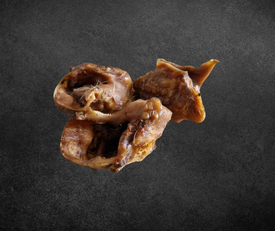 Oreille interne de boeuf