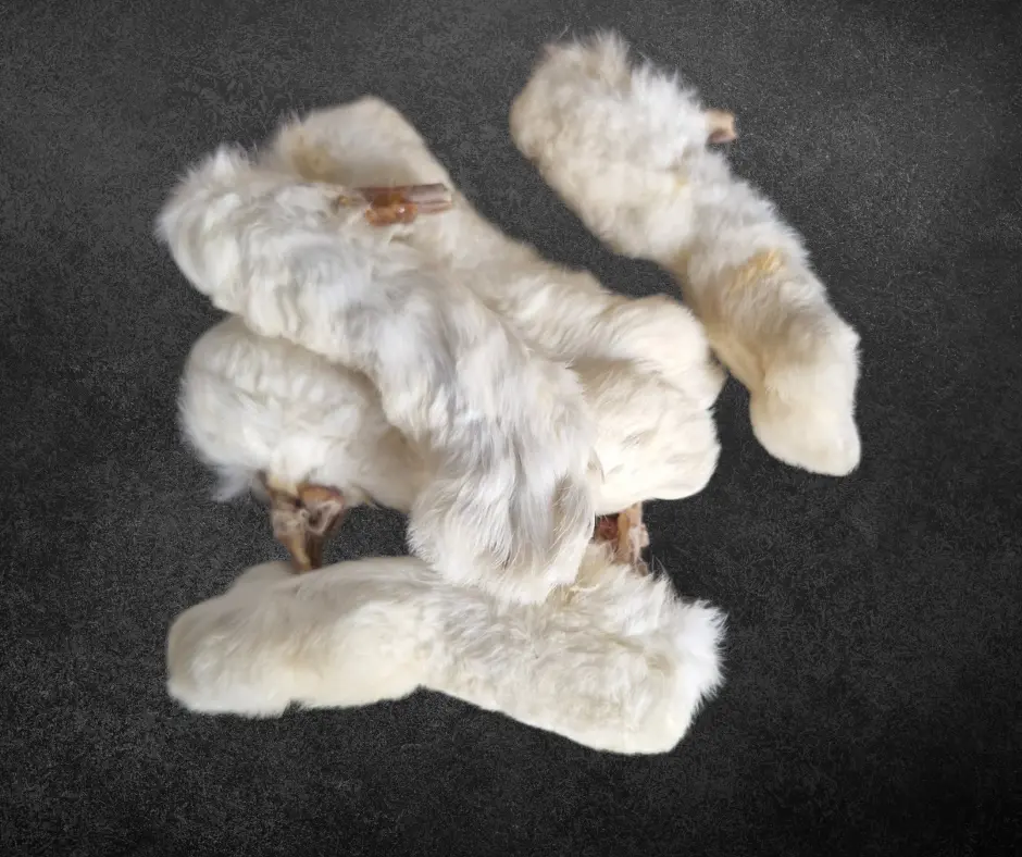 Pattes de Lapin