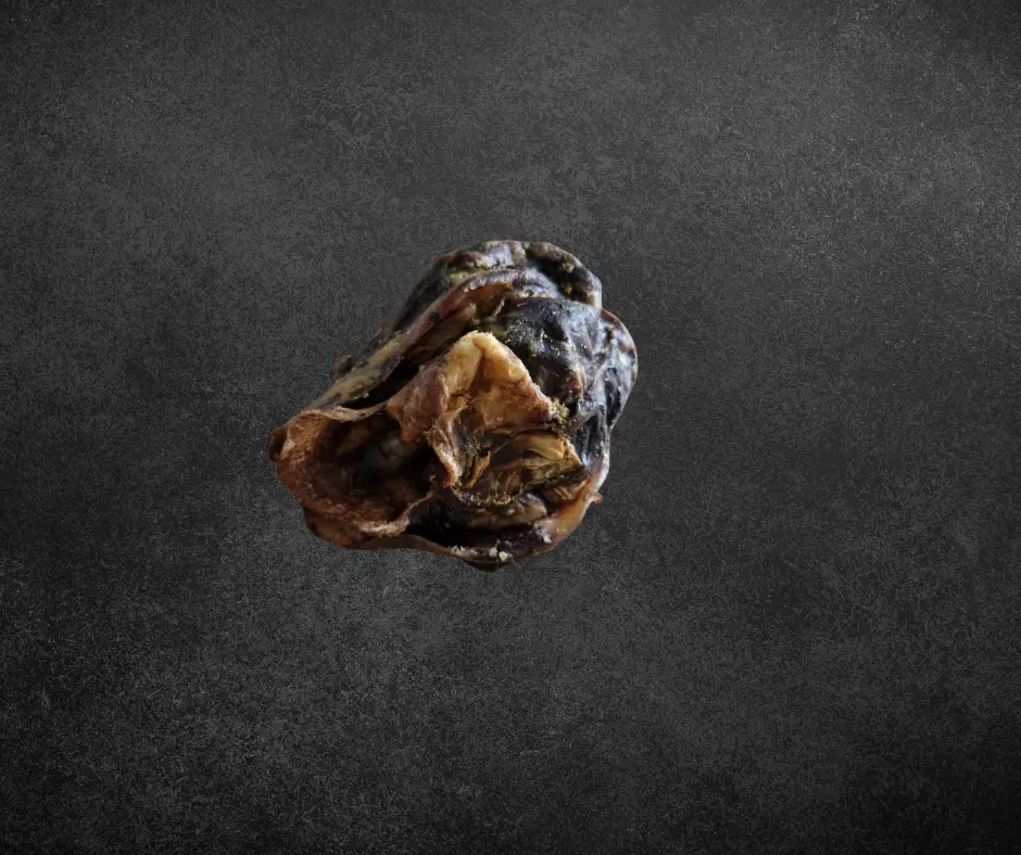 Œsophage de bœuf