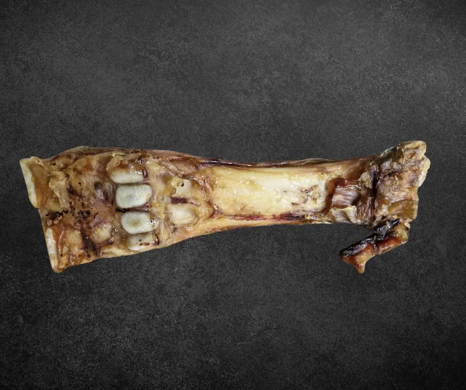Os de boeuf avec viande - XL