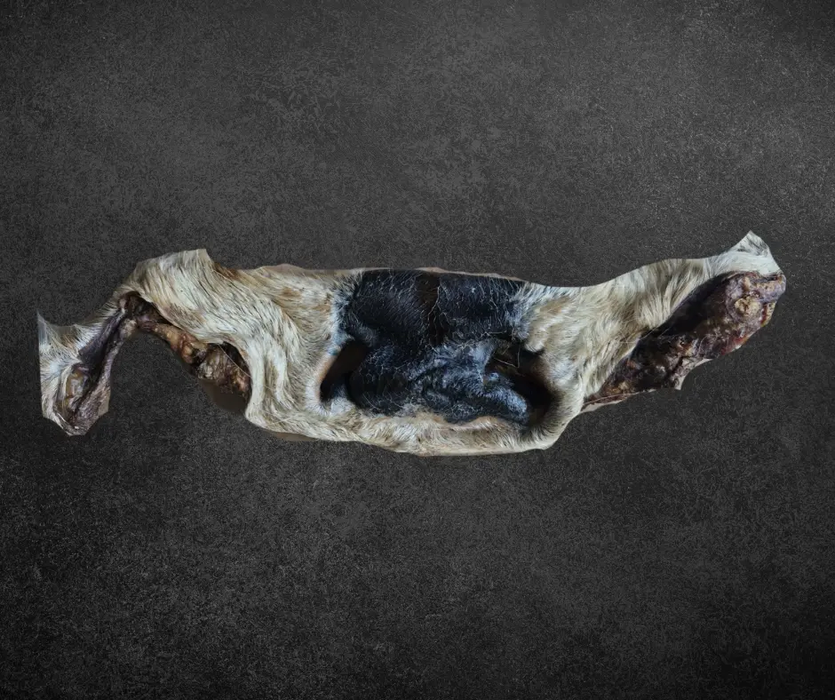 Nez de Bœuf avec poils