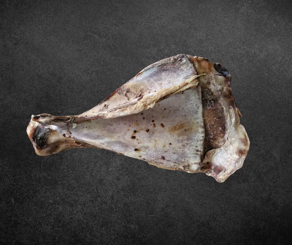 Omoplate de boeuf