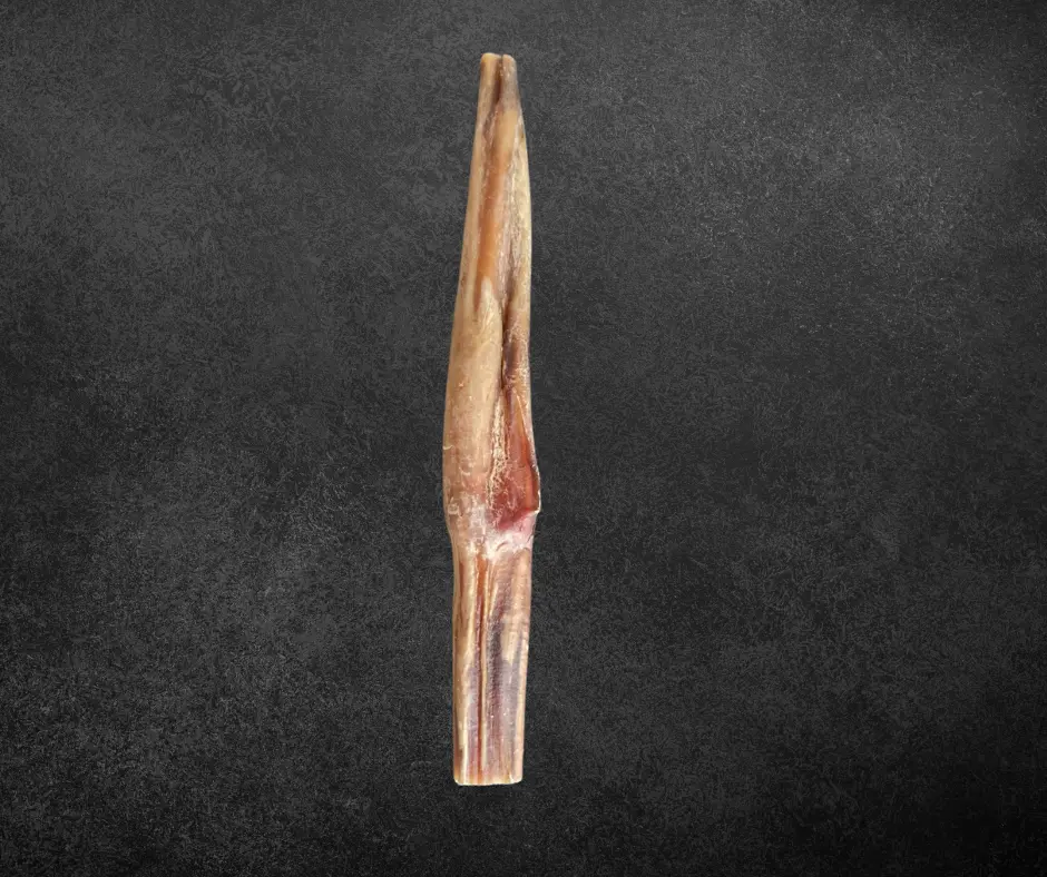 Pénis de bœuf