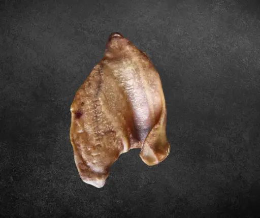 [WD-43] Oreille de Porc