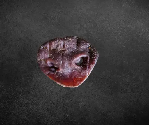 [WD-71] Nez de Porc - Face