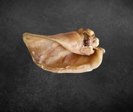 [WD-130] Oreille de Porc XXL