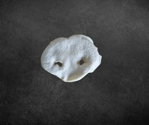 [WD-136] Nez de porc blanc