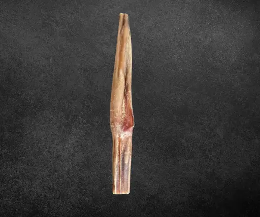 Pénis de bœuf