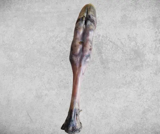 [WD-17] Patte de veau