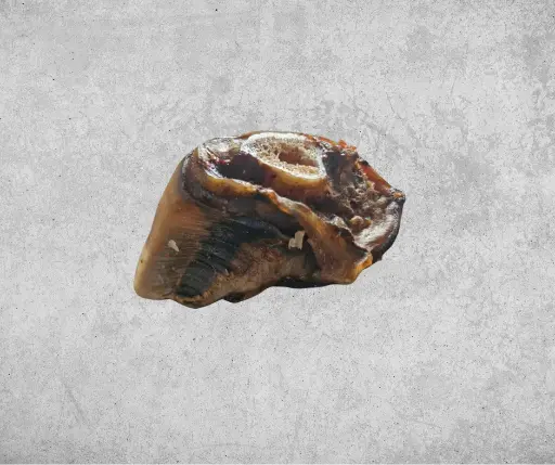 [WD-24] Sabot de bœuf entier