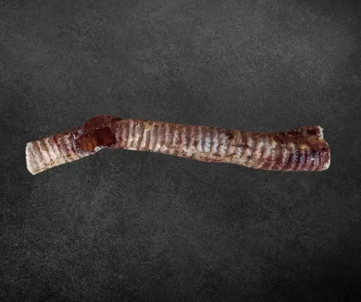 Trachée de boeuf entière