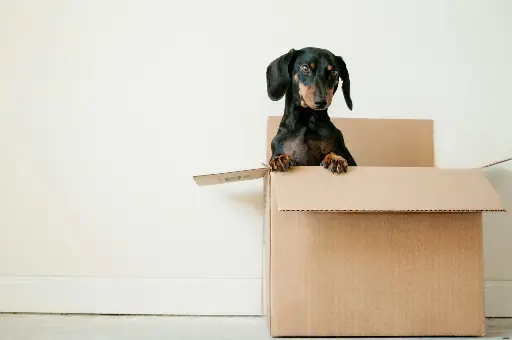 Box personnalisable avec abonnement